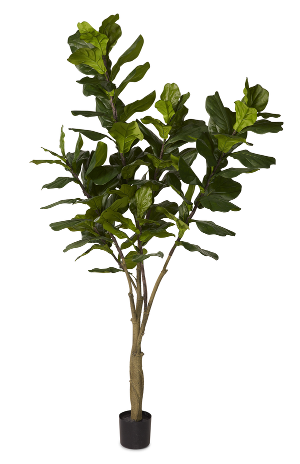 8' Fiddle Leaf Faux Tree