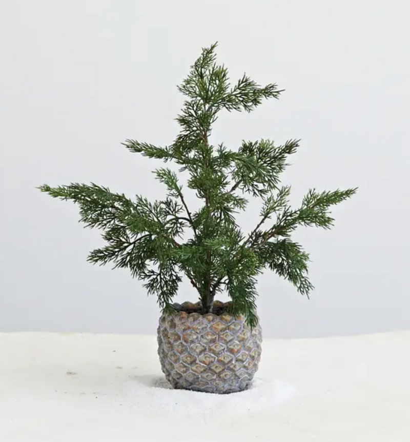 Faux Hinoki Cypress Tree in Pinecone Shaped Cement Pot