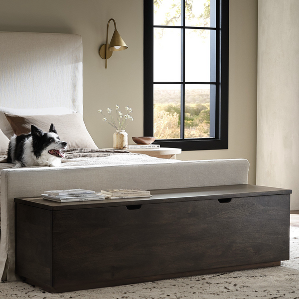 Duncan Trunk - Aged Brown