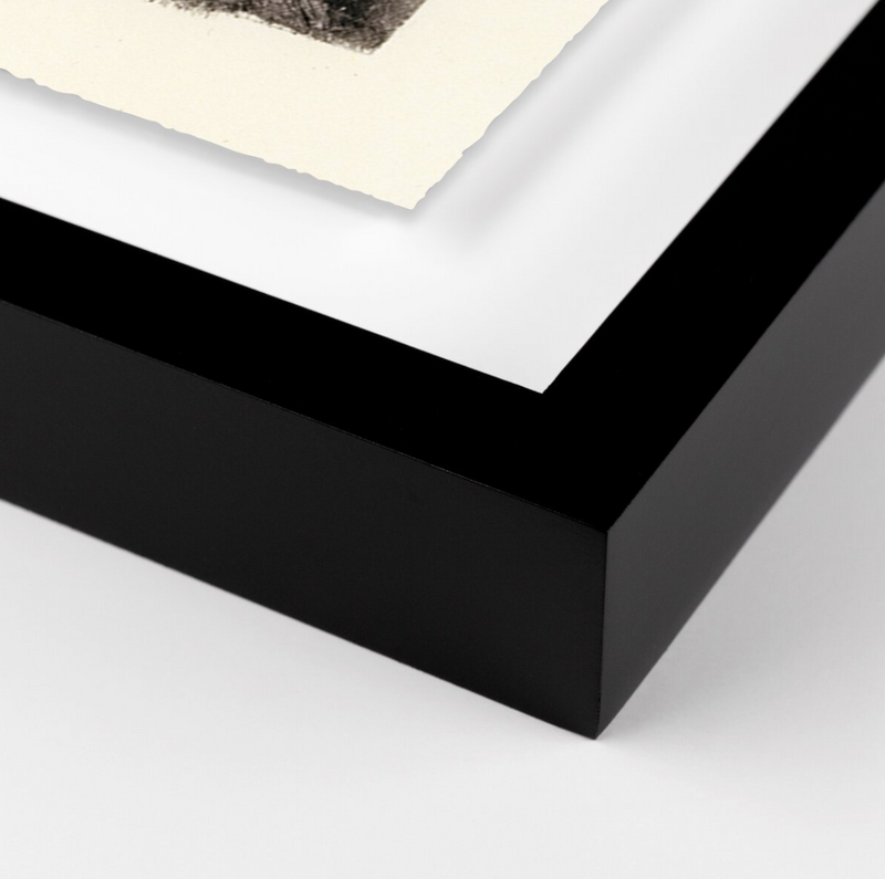 Redwoods Magical Portal by Platinum Revival