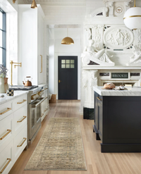 Margot Sage and Multi Area Rug