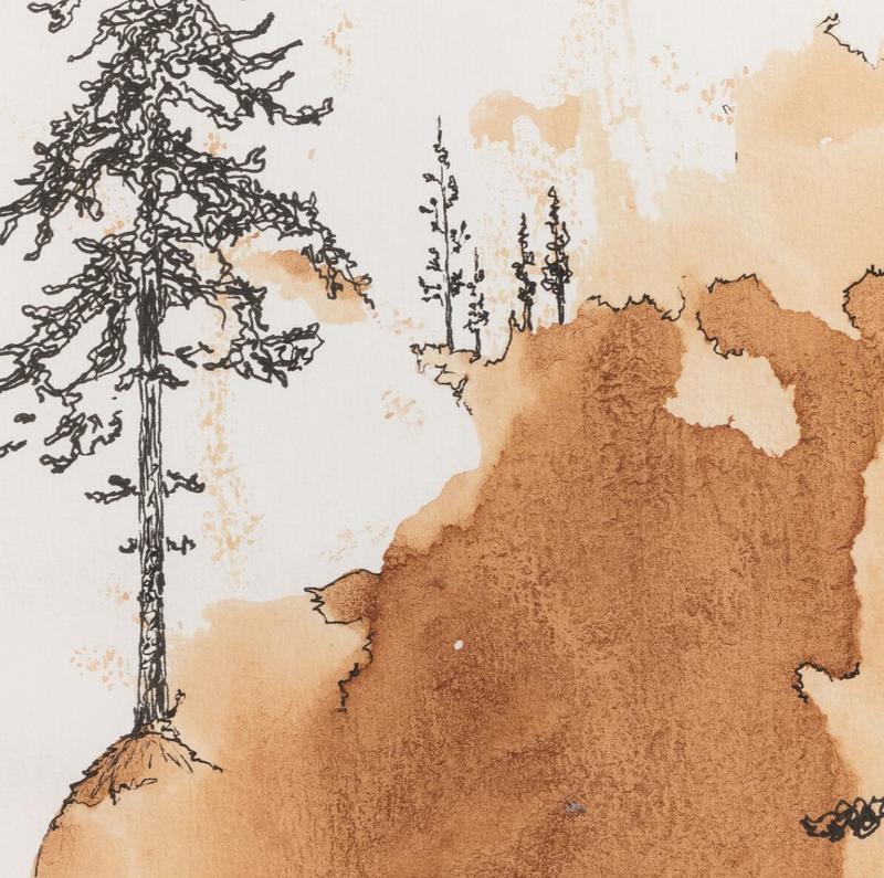 Into The Woods by Santhosh Ch