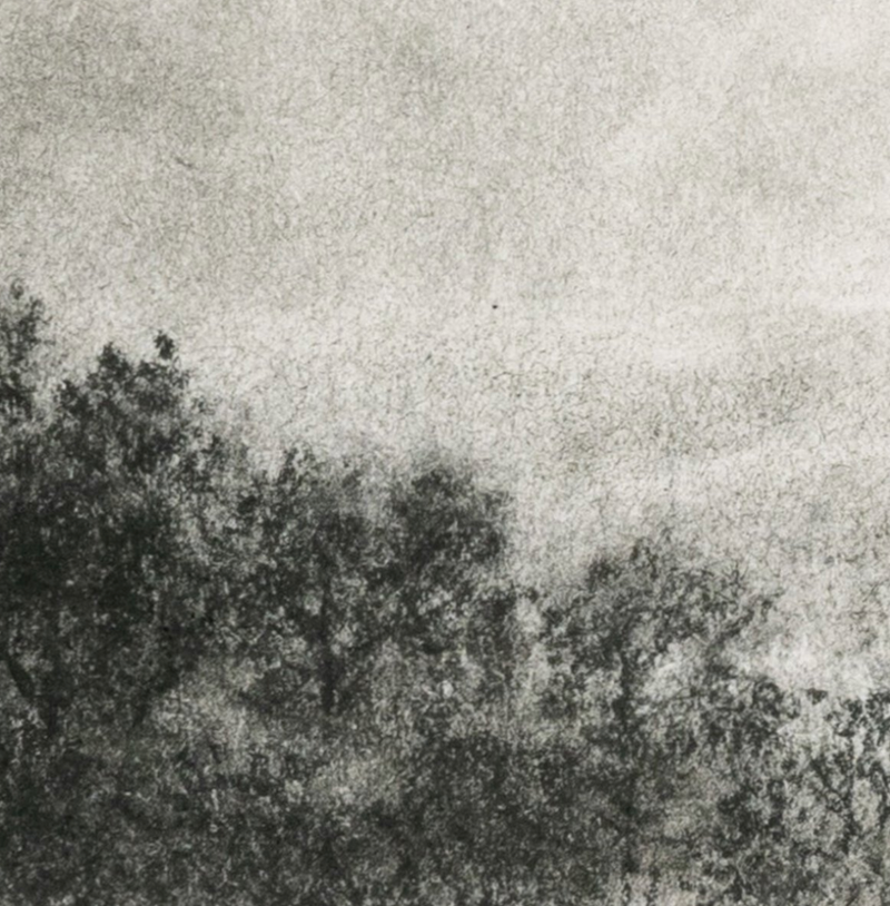 Hill Country Study I by Aileen Fitzgerald