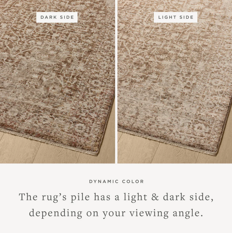 Newman Bark and Natural Area Rug