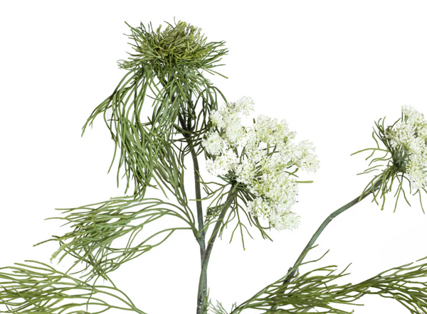 31” Queen Anne's Lace - UV Protected