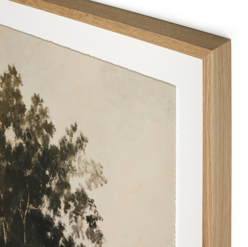 We Woke To A Dream by Aileen Fitzgerald