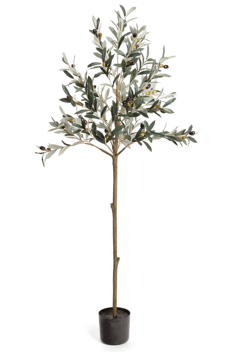 Faux Potted 5' Olive Tree