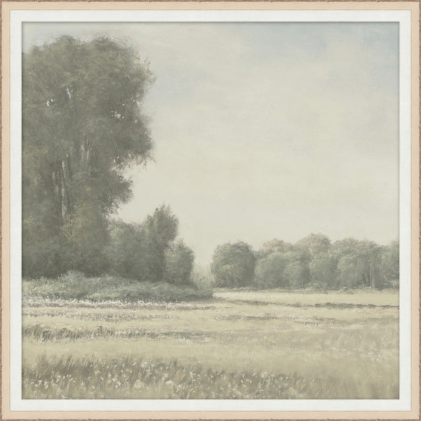 Tranquil Meadow I
