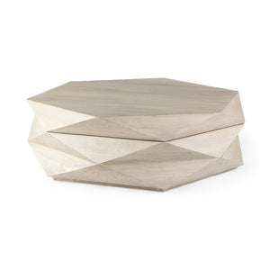 Siegfried Storage Coffee Table - Natural