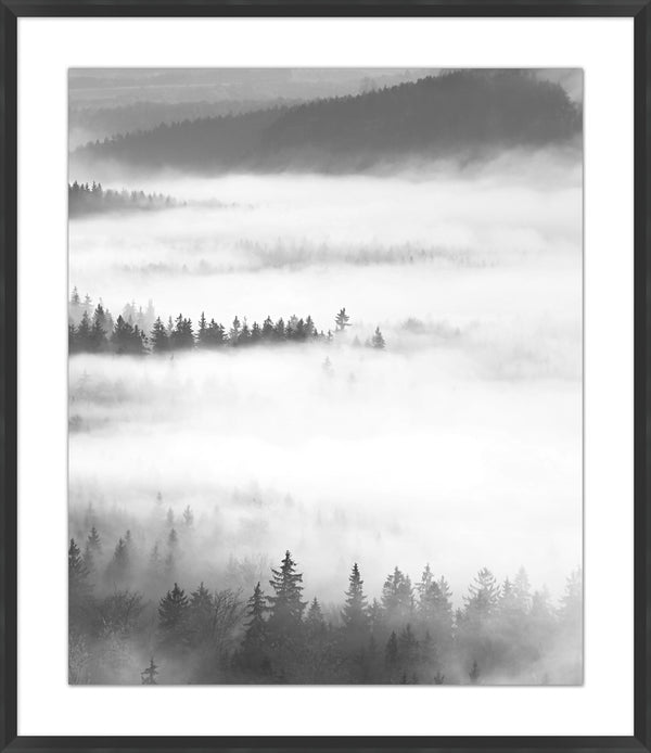 Misty Mountains II