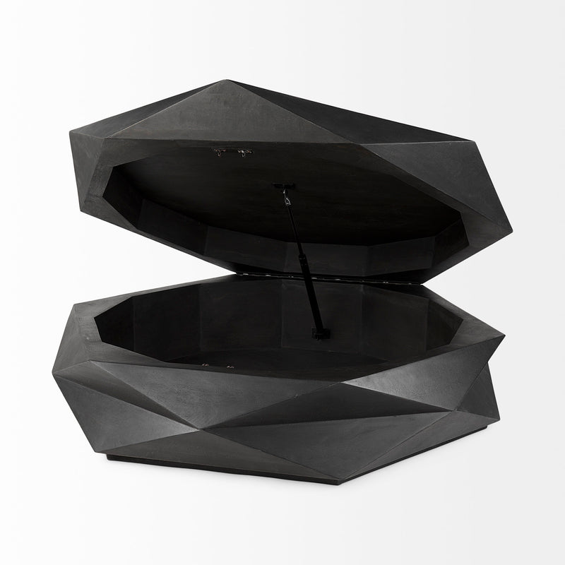 Siegfried Storage Coffee Table - Black